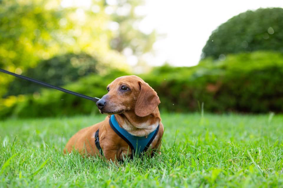 100319_dachtober_01.jpg